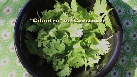 "Effective Heavy Metal Detox: Uncover the Potency of Cilantro (Coriander)"
