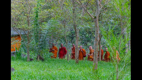 CAUGHT ON CAMERA: A Group of Buddhist Monks practice a Satanic Ritual in the Woods