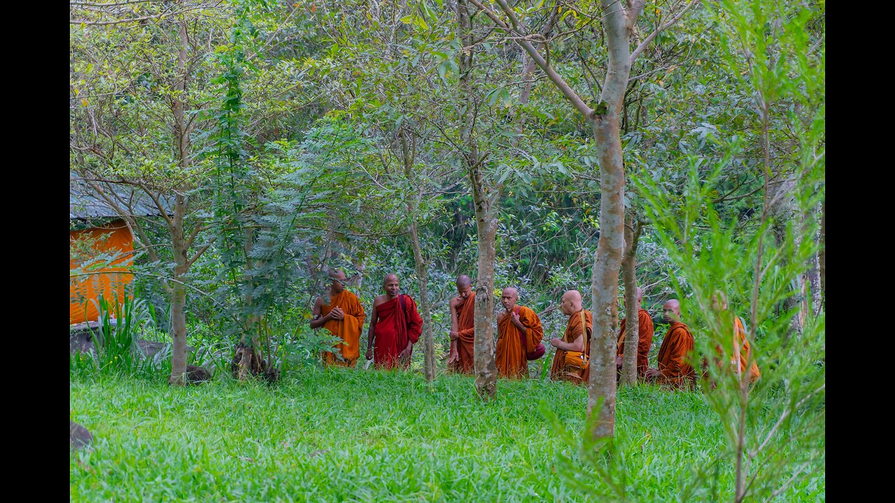 CAUGHT ON CAMERA: A Group of Buddhist Monks practice a Satanic Ritual in the Woods