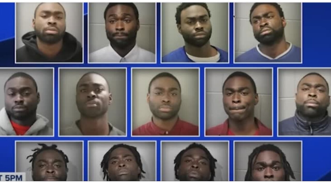 Should They Let Negro That Punched White Woman In The Face Go For 20 Mugshots