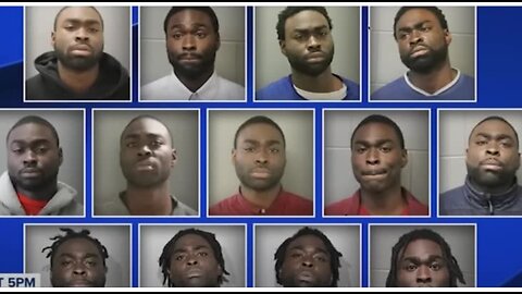 Should They Let Negro That Punched White Woman In The Face Go For 20 Mugshots
