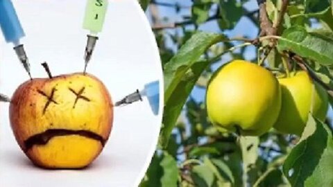 "Unlocking the Future of Food: How Scientists Use RNA to Alter Fruit Genetics"