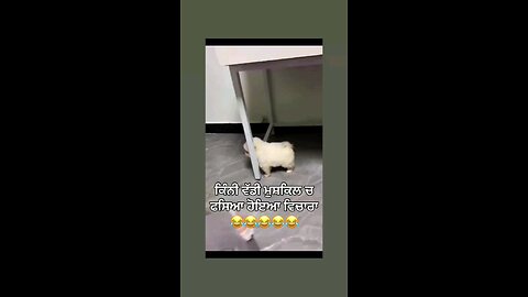 मै फसं गया