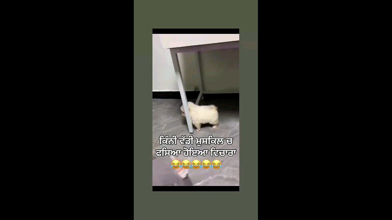 मै फसं गया