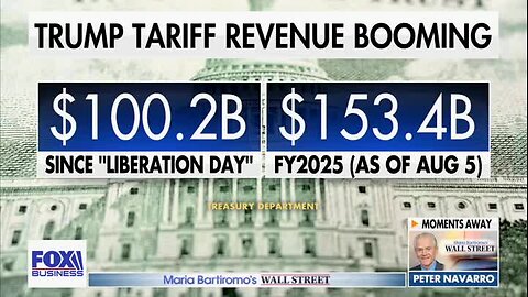 Peter Navarro on Tariffs: It’s Like a Deli Where You Have to ‘Pick a Number and Wait in Line’