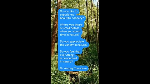 The Art of Observation: Seeing Beauty Where Others Don't