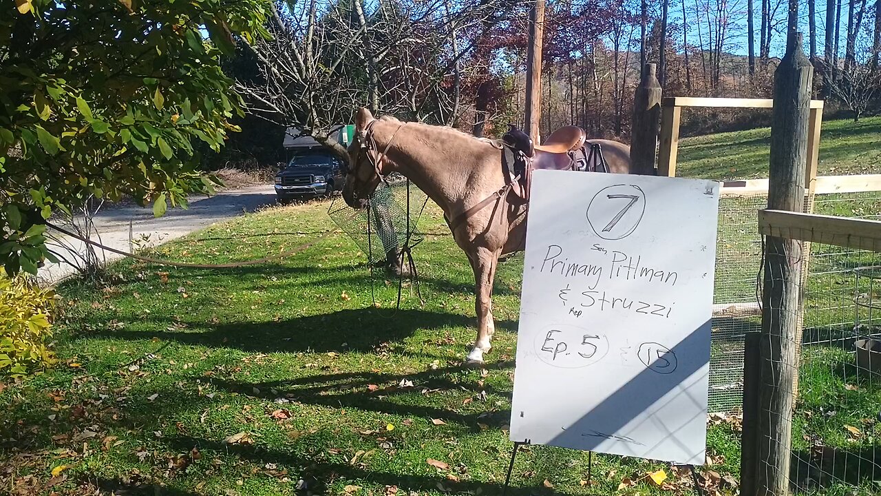 Ep 16, Primary Struzzi and Pittman