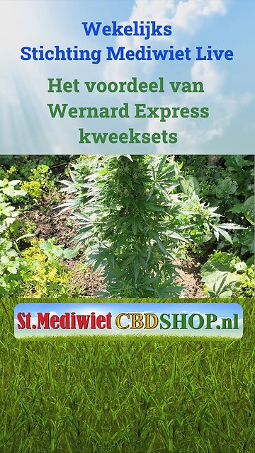 Het voordeel van Wernard Express kweeksets