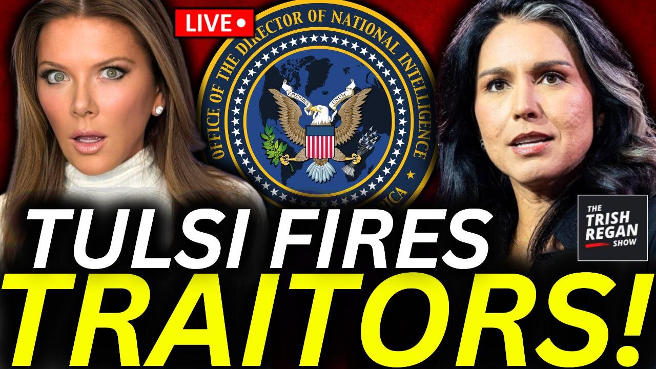 BREAKING: Tulsi Gabbard EXPOSES Deep State 'Traitors'--FIRES THEM ALL in Brutal Purge! More to Come