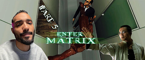 But first I must apologize for this BEATDOWN | Enter The Matrix Gameplay | Niobe | Ending