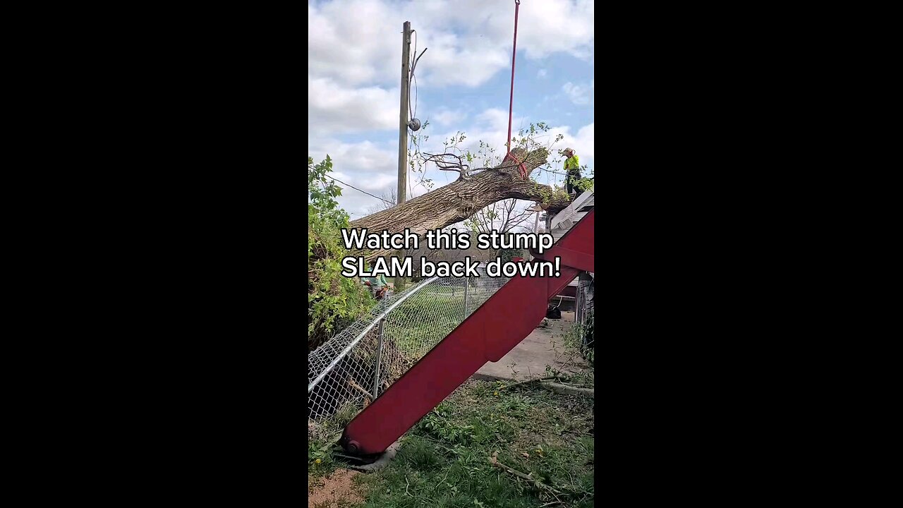 Tornado Aftermath! Uprooted Elm Smashes House