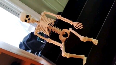 Meet Skeleton
