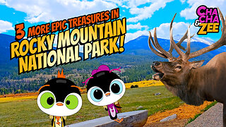 Wildlife Surprises and Epic Treasure Hunts Await in Rocky Mountains
