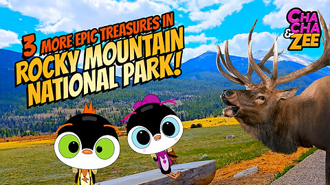 Wildlife Surprises and Epic Treasure Hunts Await in Rocky Mountains