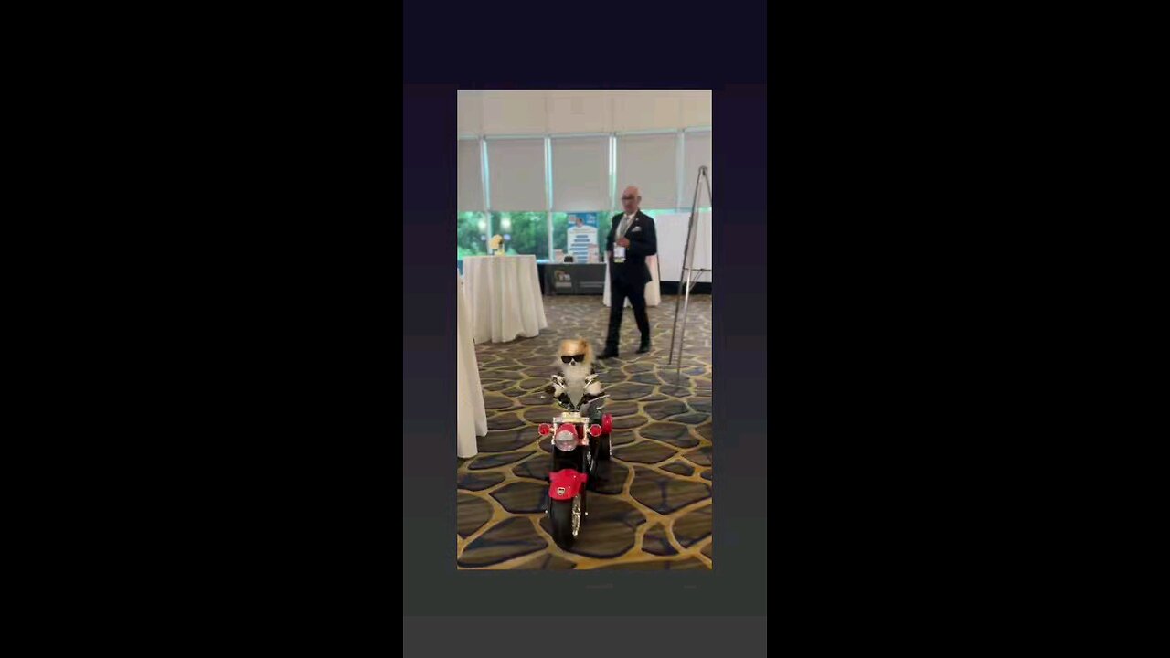 मै हु डोन