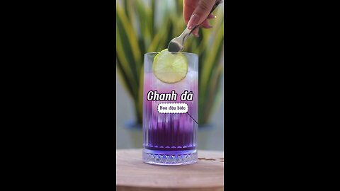 CHANH ĐÁ | Lemonade