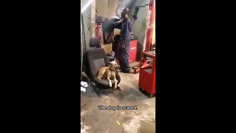 #funny #foryou #fyp #viralvideo #trending #lol #comedy