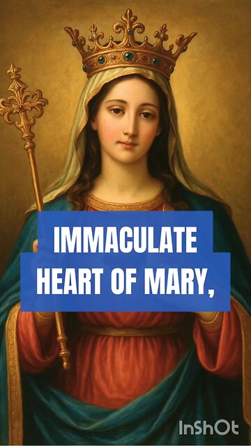 IMMACULATE HEART OF MARY #truth #jesus #christ #king #mary #joseph #ihs #church #bible #christian #s