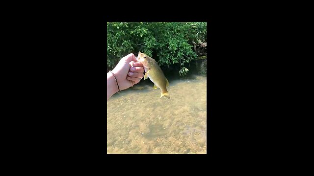 creek fishing