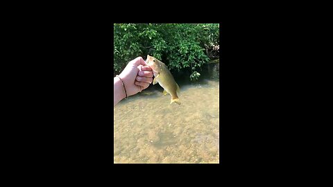 creek fishing