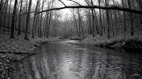 Bigfoot trail cam footage