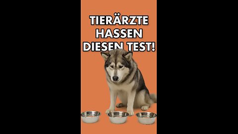 Diesen simplen Test hassen Tierärzte!