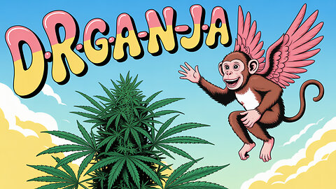 🔥FLYING Monkey 🐒 24K Kosher x Tangie 🍊💨 | Boutique Collection Now @ Dr Ganja!🛒✨