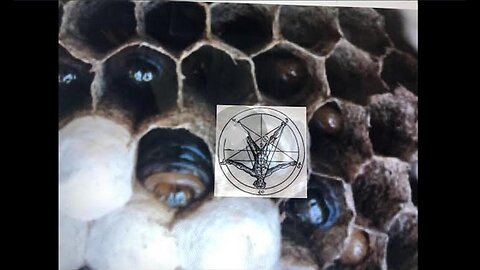 WORM That Never DIES,., My People Die From Lack From LACK Of KNOWLEDGE. NOW YOU KNOW .. FROM 2 to 1
