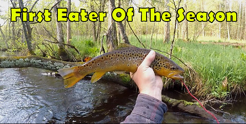 First Eater Of The Season
