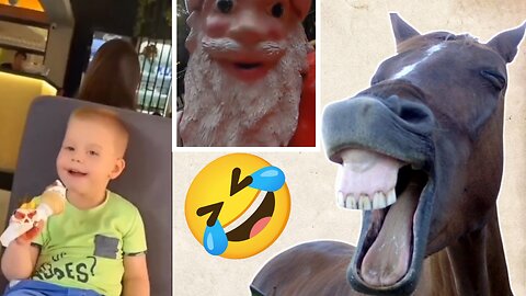 Unexpected Funny Moments Caught on Camera 📸🤣