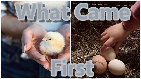 What Came First