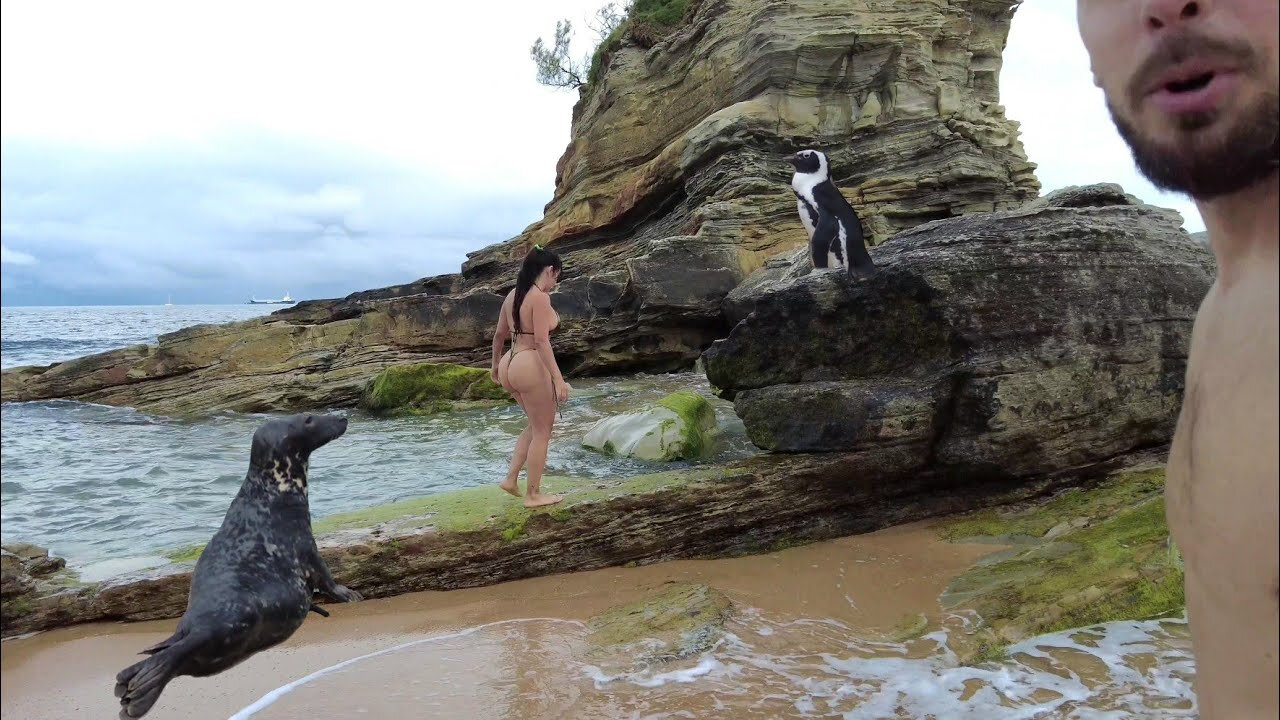 Neptuno 🧜‍♂️, Sirenas🧜‍♀️, Focas 🦭 y Pingüinos🐧 |Santander Pt. 2