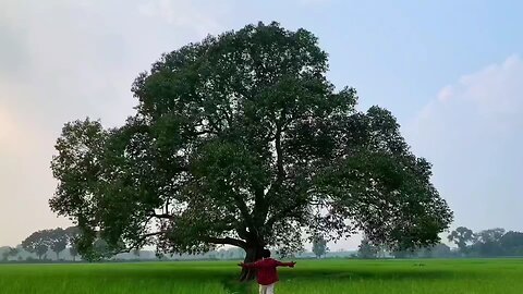 peaceful environment