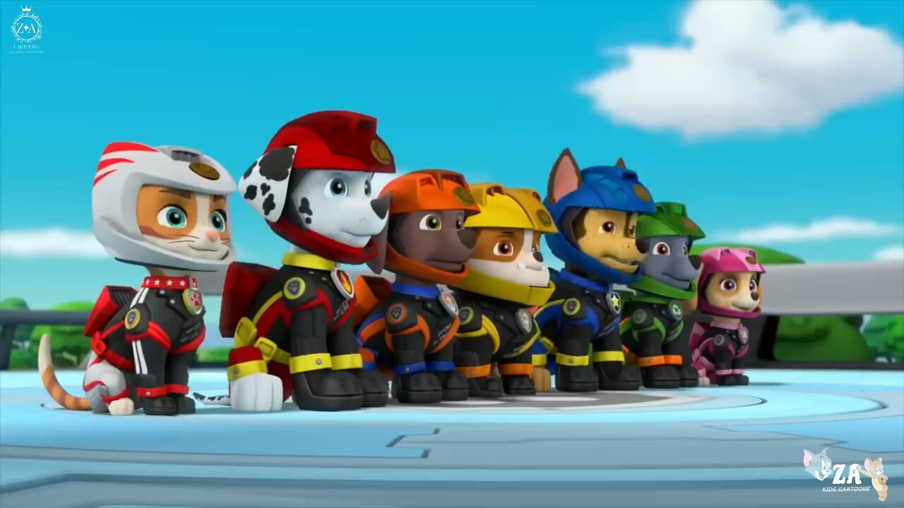 PAW Patrol Cartoons