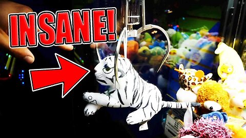 INSANE CLAW MACHINE WIN BY A THREAD!