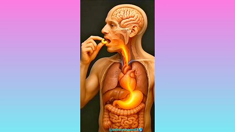 WHAT HAPPENS WHILE EATING CAS CASHEW INSIDE YOUR BODY 💪