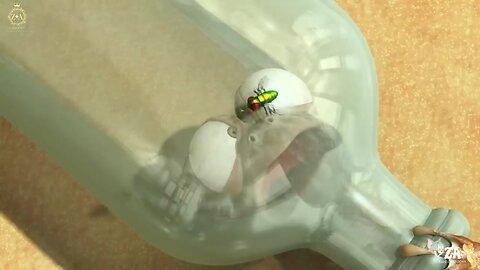 Oscar's and Oasis Cartoons