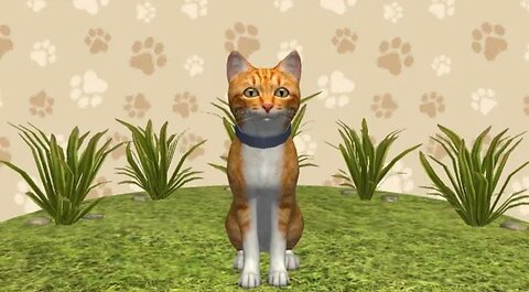 I'm a Cat! | Cat Simulator