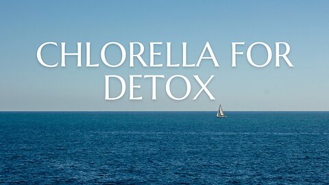 chlorella DETOX explained