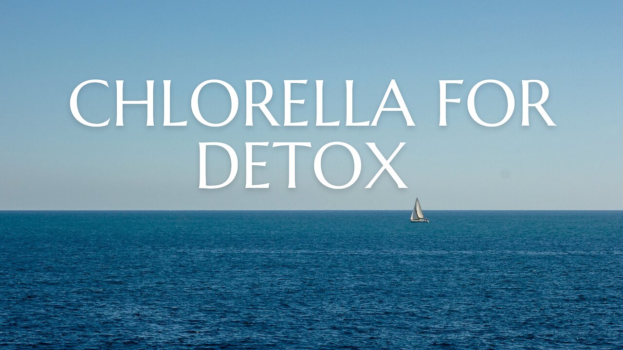 chlorella DETOX explained