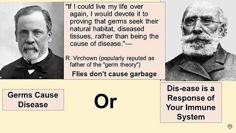 VIRUSES & THE GERM THEORY LIE - By Dr John Bergman