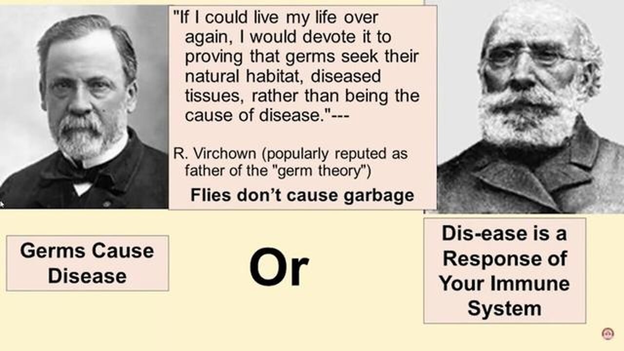 VIRUSES & THE GERM THEORY LIE - By Dr John Bergman