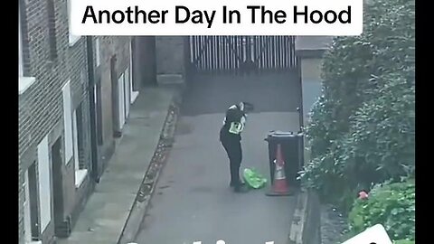 "UK Policeman's Surprising Discovery: Full Grown Man Hiding Under Traffic Cone"
