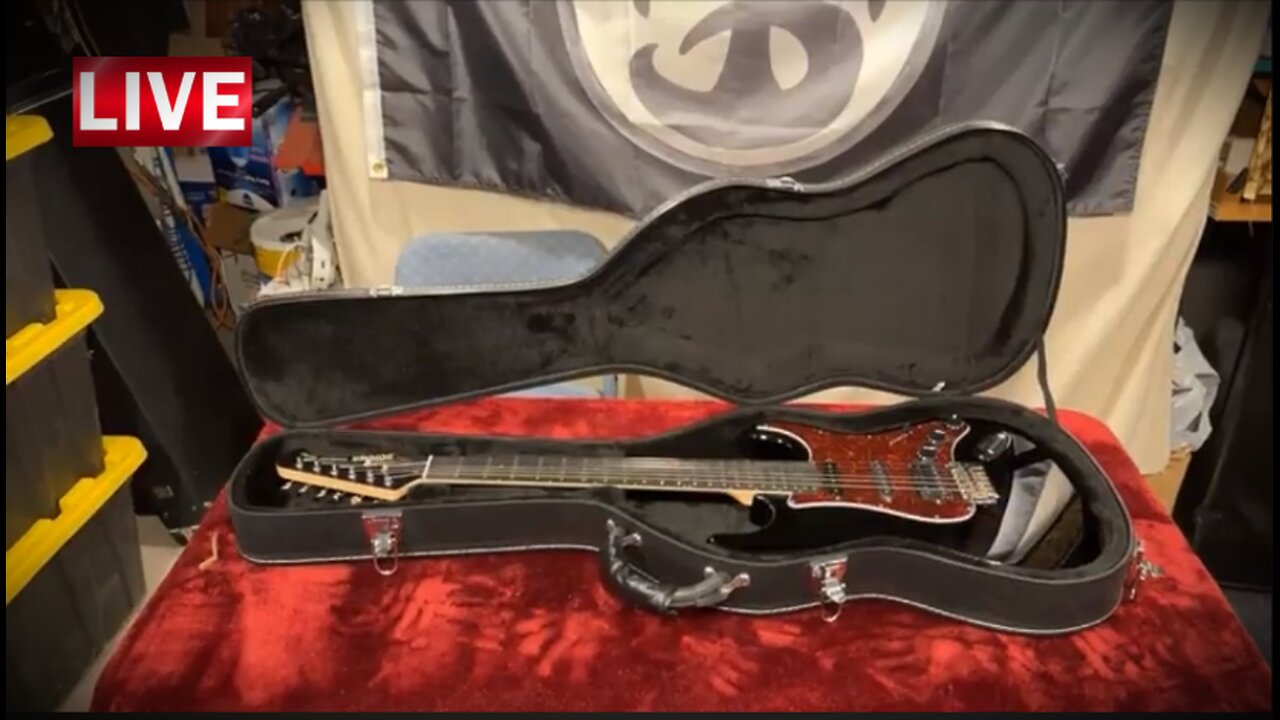Donner DST-200 Strat Unboxing and Discussion