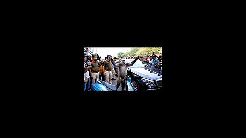 monkey bhai ka hua accident