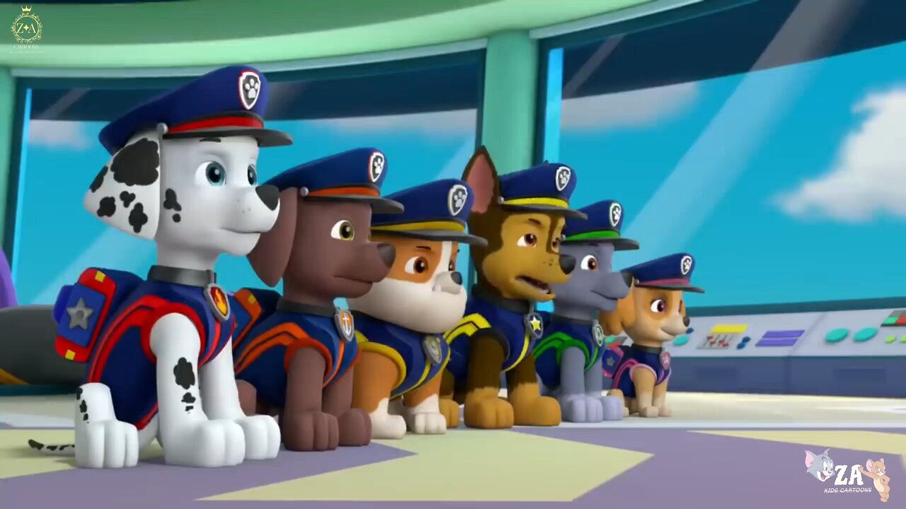 PAW Patrol Cartoons