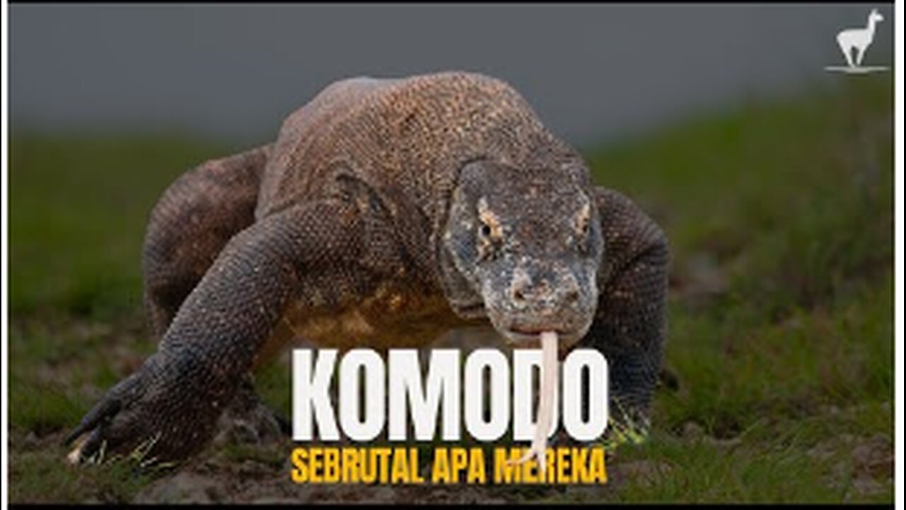 Komodo: The Last Living Dragon on Earth