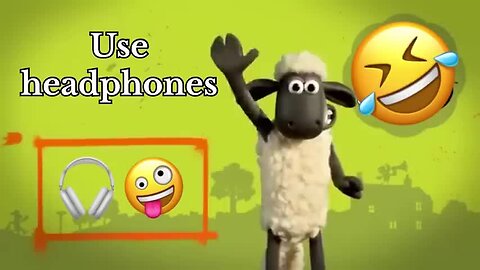 सूअर के बच्चे सबसे अच्छे // Pigs best #fun