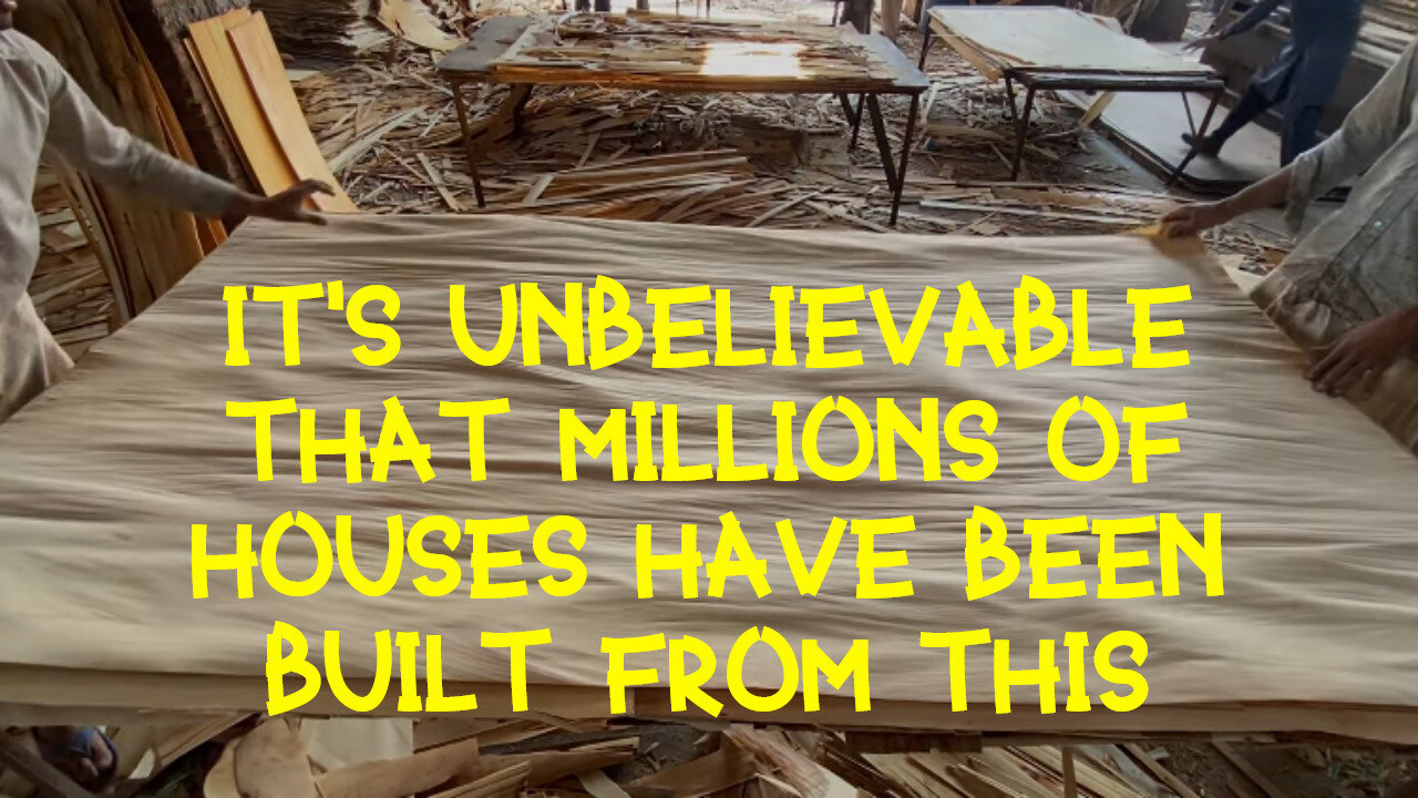 How the Material That Millions of Buildings Are Built Is Made - PLAYWOOD