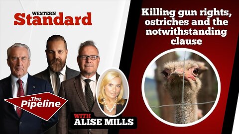 Killing gun rights, ostriches and the notwithstanding clause
